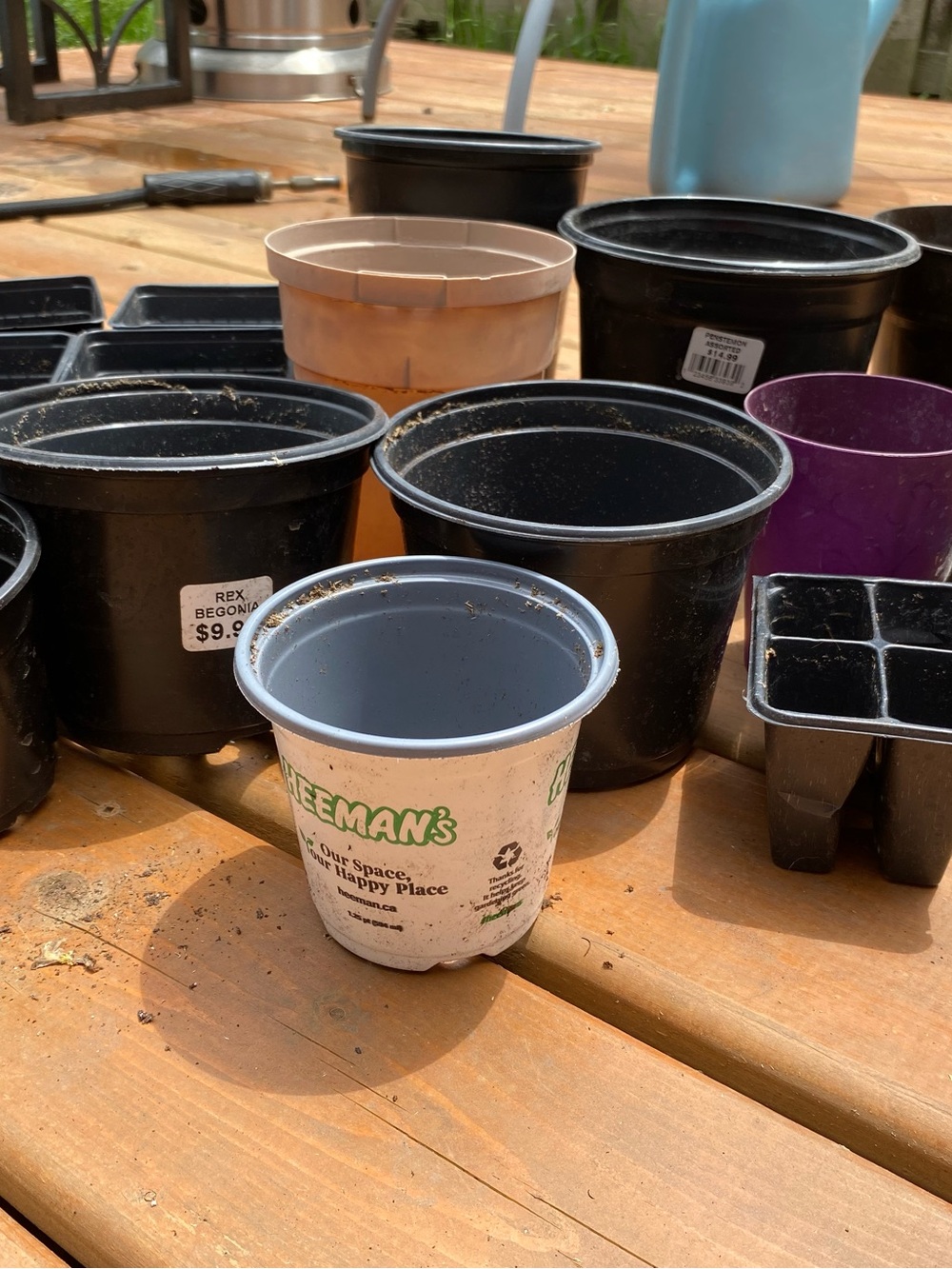 Assorted Plant Nursery Pots - Black, Purple, Tan, White